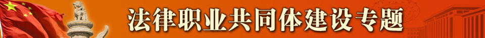 法律职业共同体建设