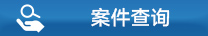 案件查询